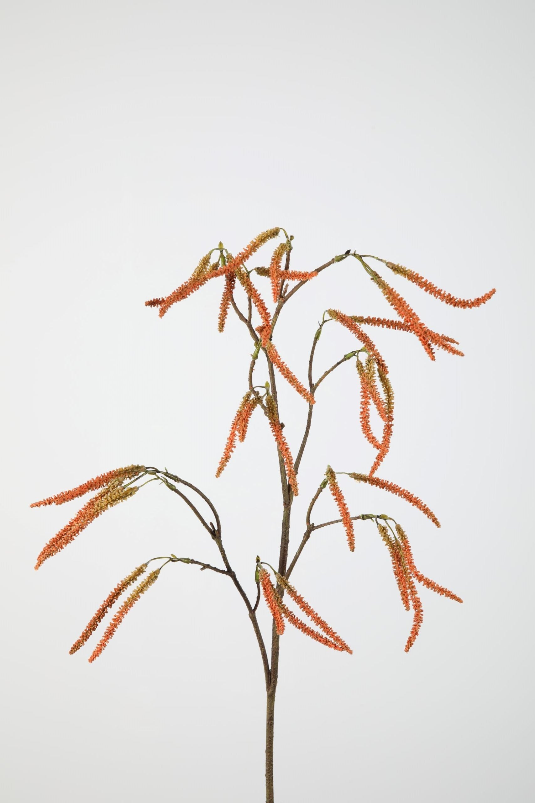 Amaranthus Spray