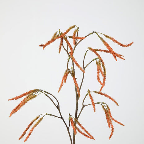 Amaranthus Spray