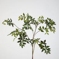 Nandina Domestica Spray