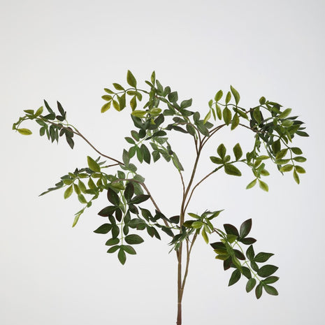 Nandina Domestica Spray