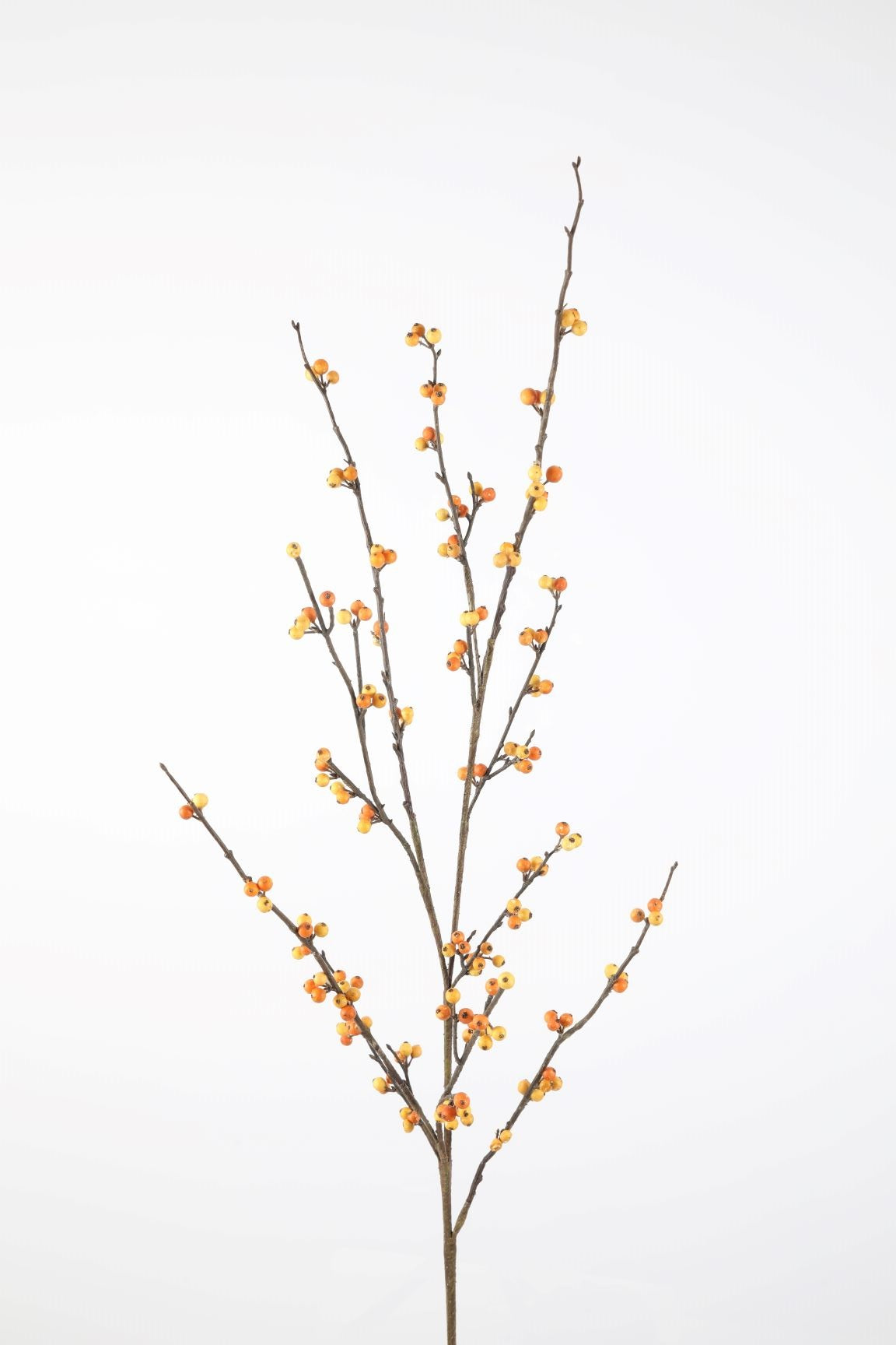 Berry Ilex Spray