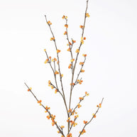 Berry Ilex Spray