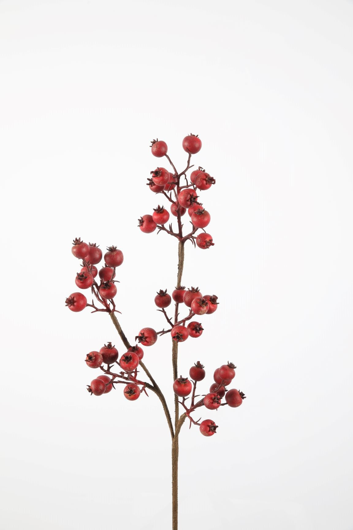 Berry Spray