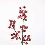 Berry Spray