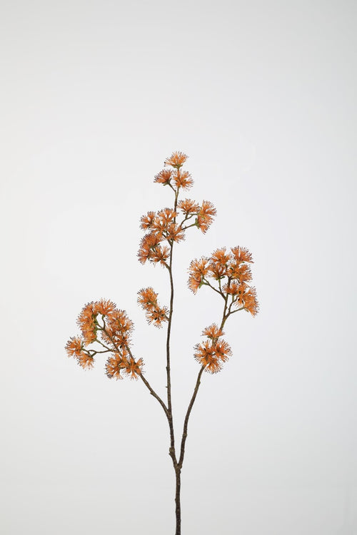 Zijde bloemen & planten