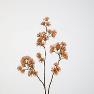 Witch Hazel Spray