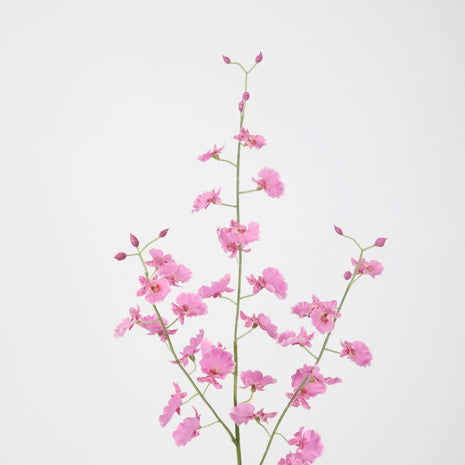 Dancing Orchid