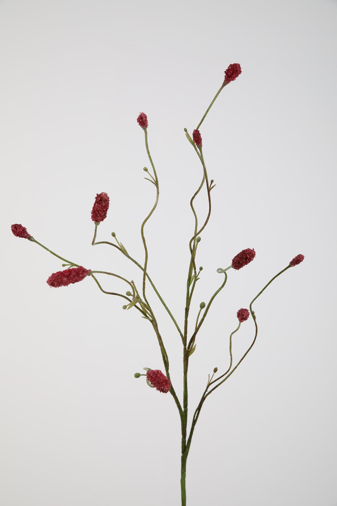Burnet Spray