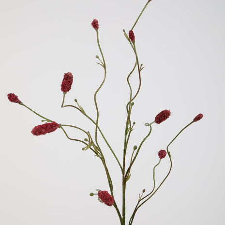 Burnet Spray