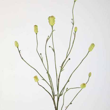 Burnet Spray