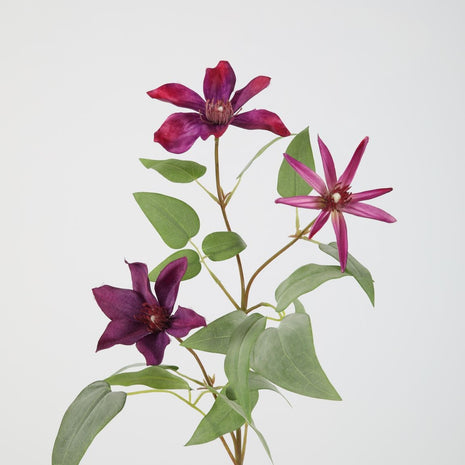 Clematis Spray