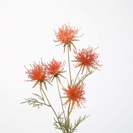 Grevillea Spray
