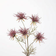 Grevillea Spray