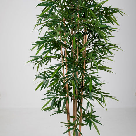 New Bamboo Tree