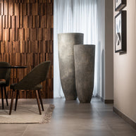 FICUS planter