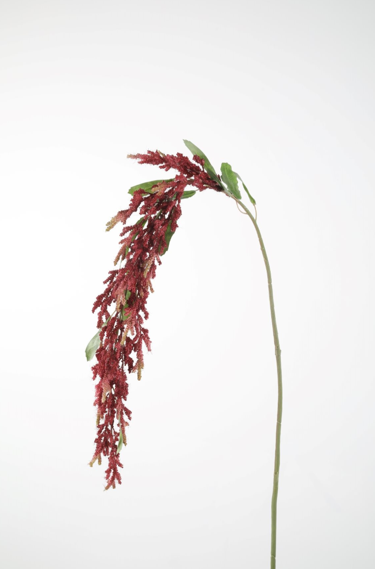 Amaranthus Stem 142cm