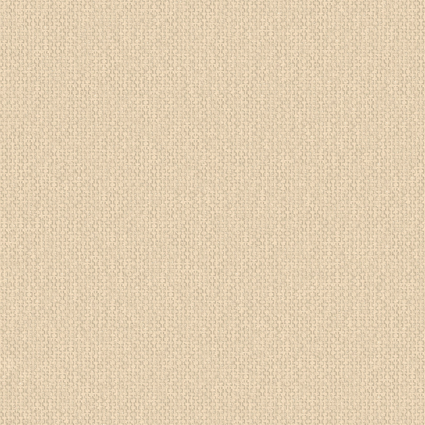 Canvasa