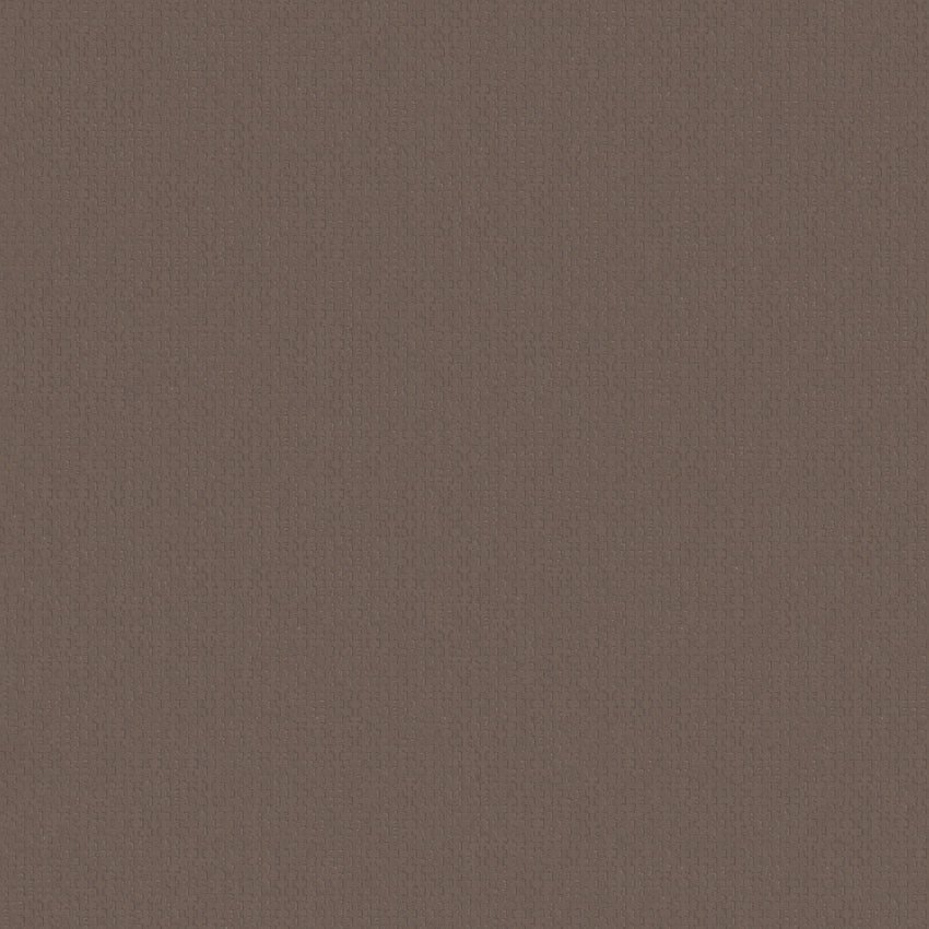 Canvasa