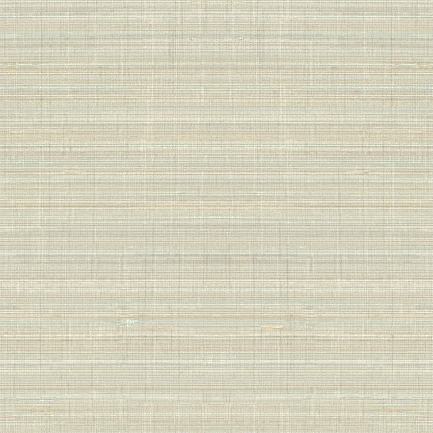 Ravi